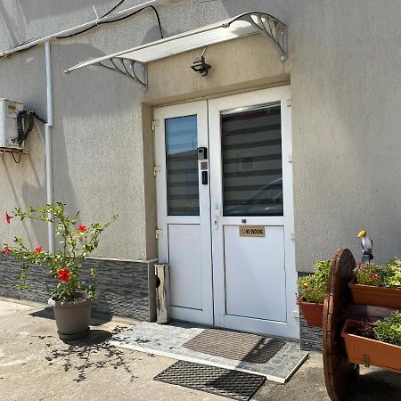טימישוארה Evergreen Apartment מראה חיצוני תמונה