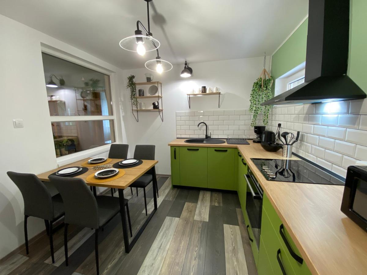 טימישוארה Evergreen Apartment מראה חיצוני תמונה
